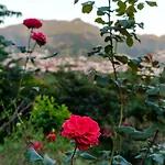 Guestready - A Charming Experience In Madeira 公寓