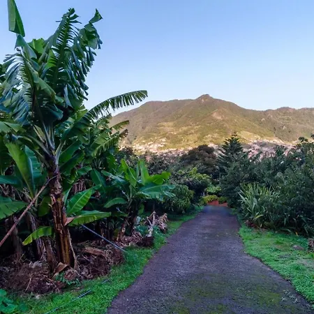 아파트 Guestready - A Charming Experience In Madeira *