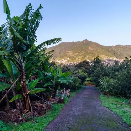 Apartment Guestready - A Charming Experience In Madeira *