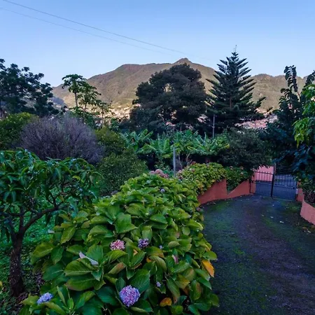Guestready - A Charming Experience In Madeira
