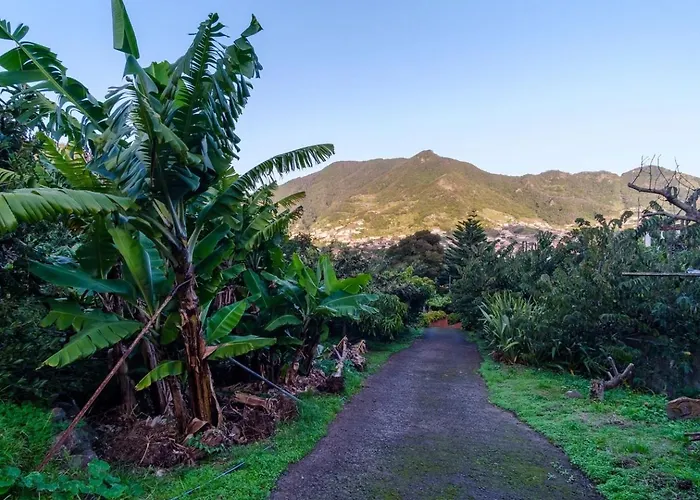 Daire Guestready - A Charming Experience In Madeira *